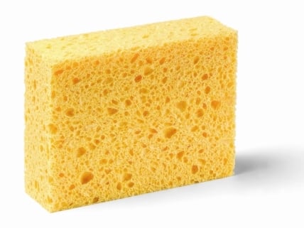 spugna-2.jpg